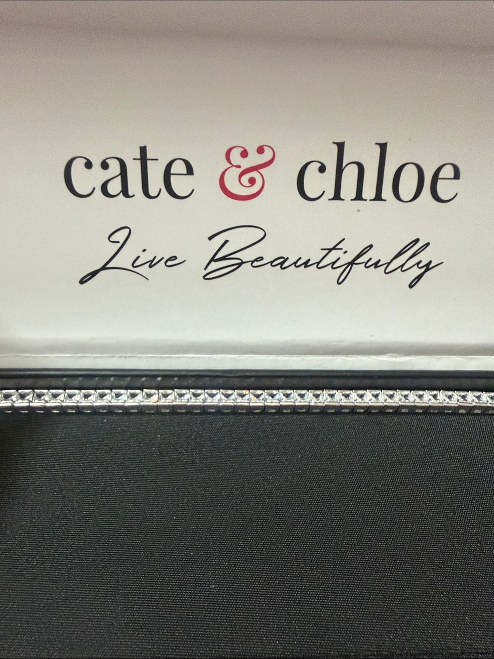 kate spade Pale Blue Jewelry/Accessory Box with Black Logo